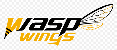 Wasp Wings